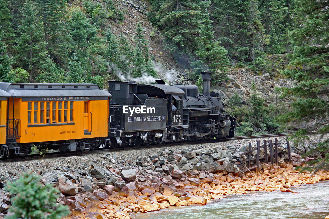 TRAIN PASSING THROUGH RAILROAD TRACK