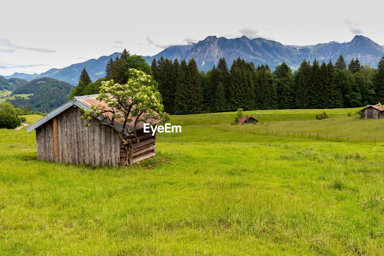 Beauty daily landscape of an old wooden house on a green field