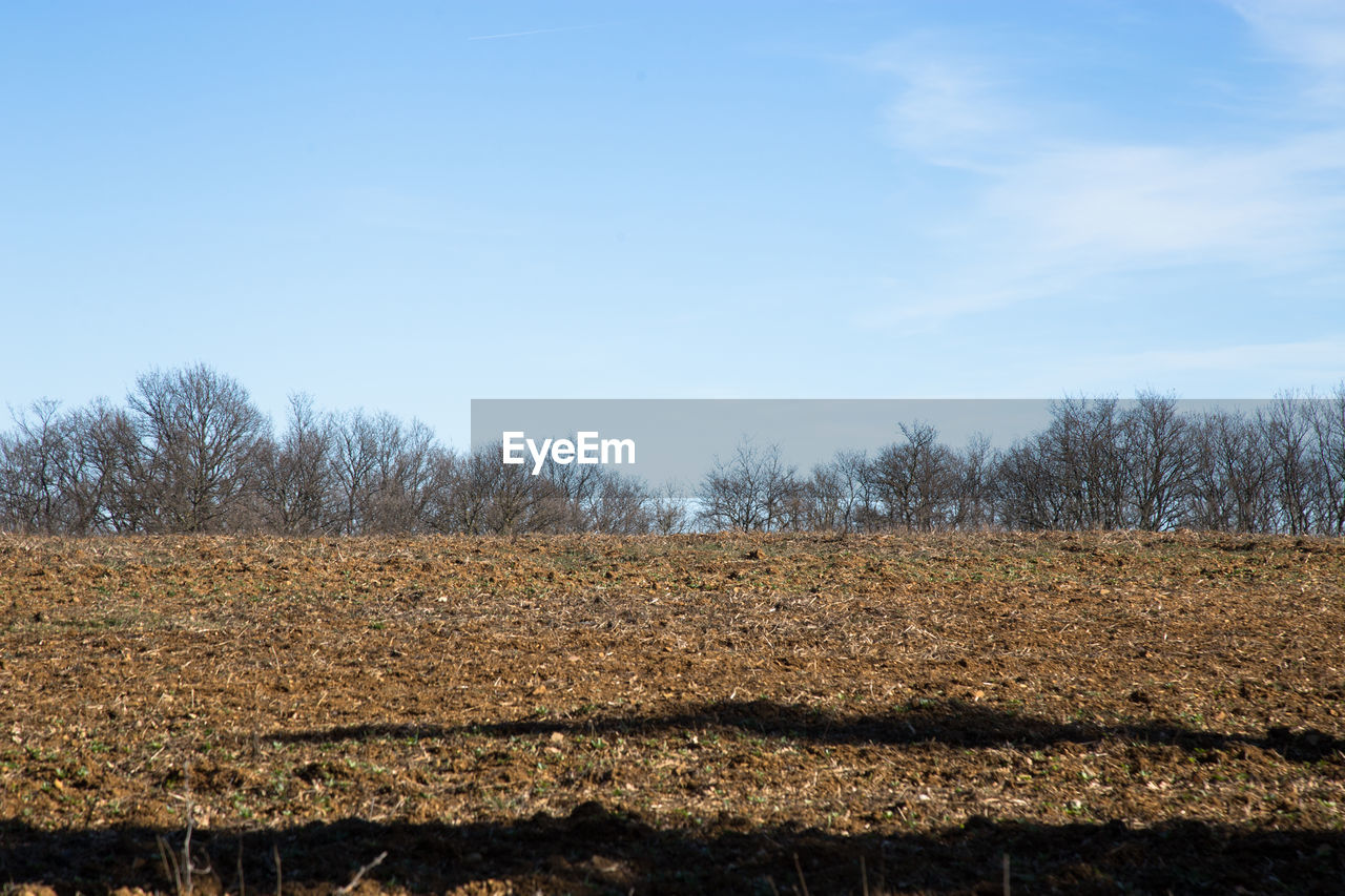 SURFACE LEVEL OF LAND AGAINST SKY