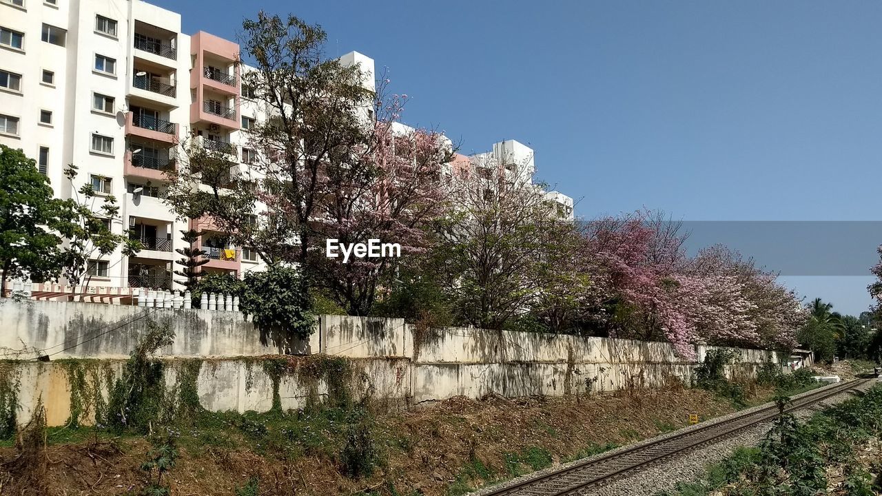 LOW ANGLE VIEW OF TREES AND BUILDINGS AGAINST CLEAR SKY