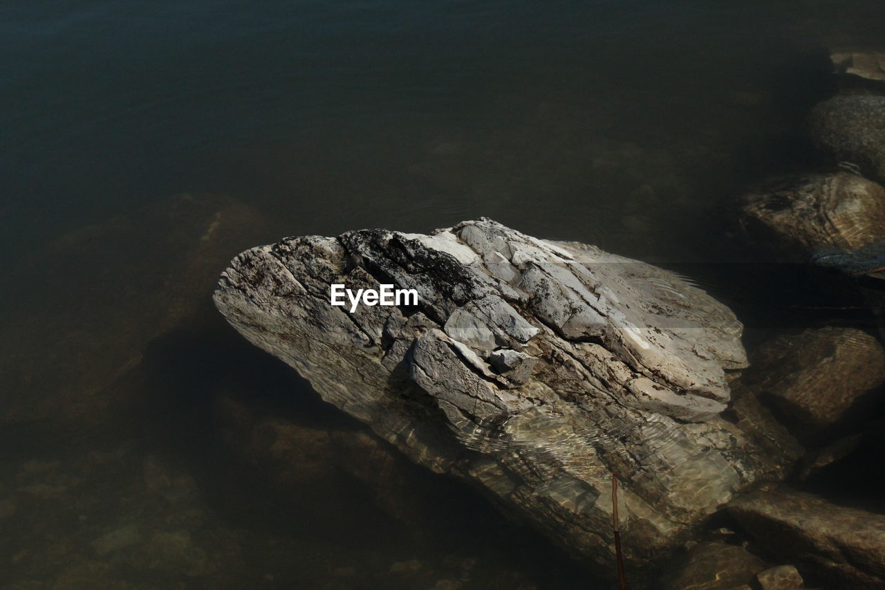 HIGH ANGLE VIEW OF A ROCK ON SHORE