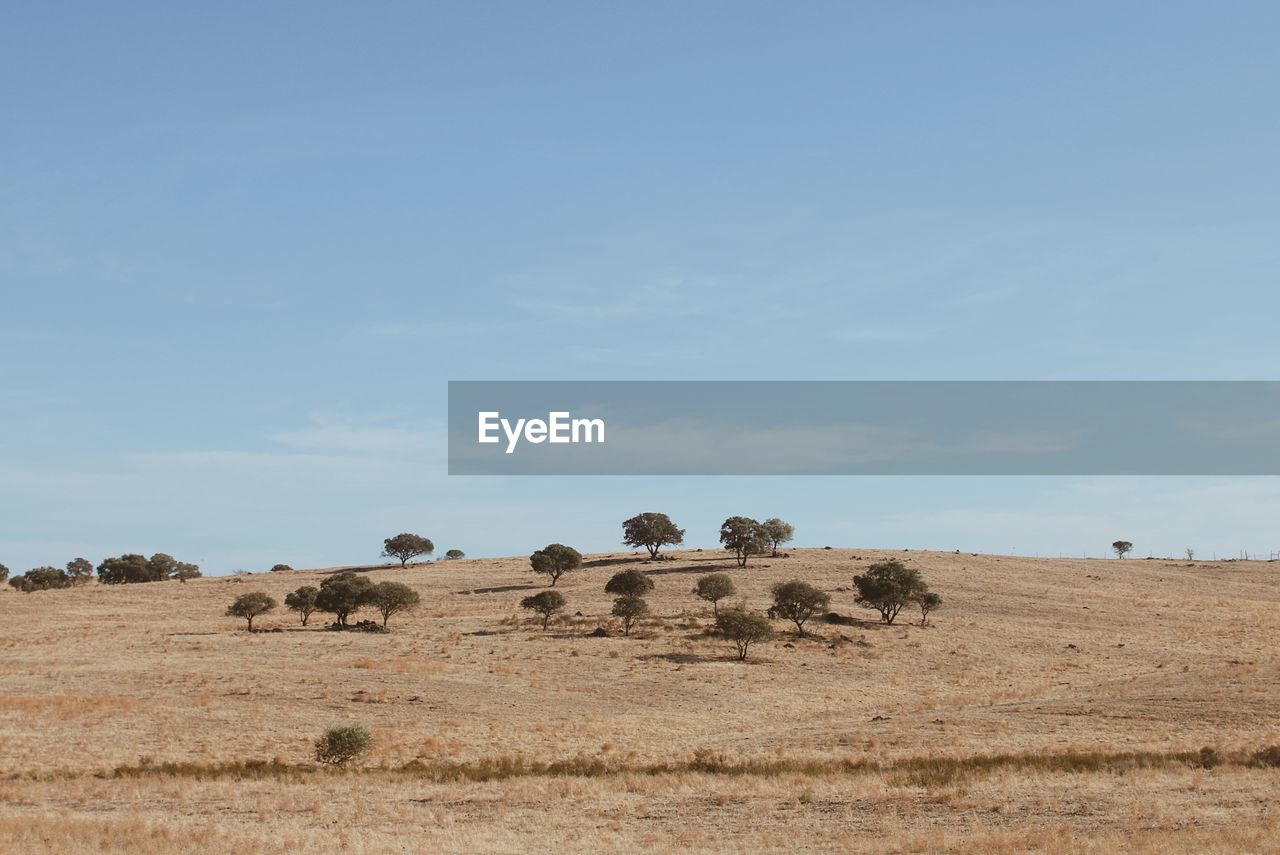 SCENIC VIEW OF FARM AGAINST SKY