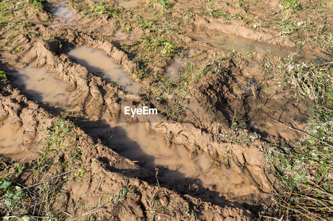 soil, nature, land, high angle view, geology, environment, no people, day, landscape, sunlight, plant, tranquility, scenics - nature, beauty in nature, outdoors, non-urban scene, terrain, tree, tranquil scene, water, wadi, dirt, growth, field, aerial photography, wilderness