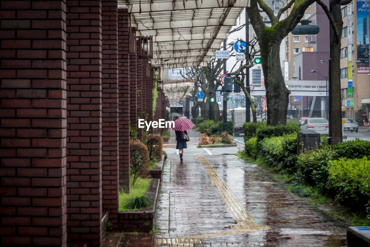 Rear view of woman with umbrella walking on sidewalk during rainy season