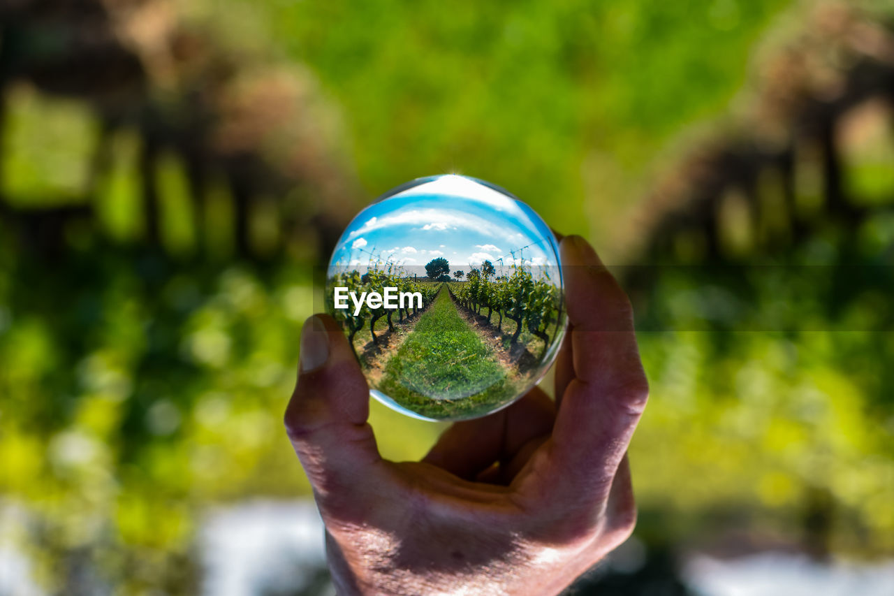 CLOSE-UP OF PERSON HAND HOLDING BALL IN GLASS