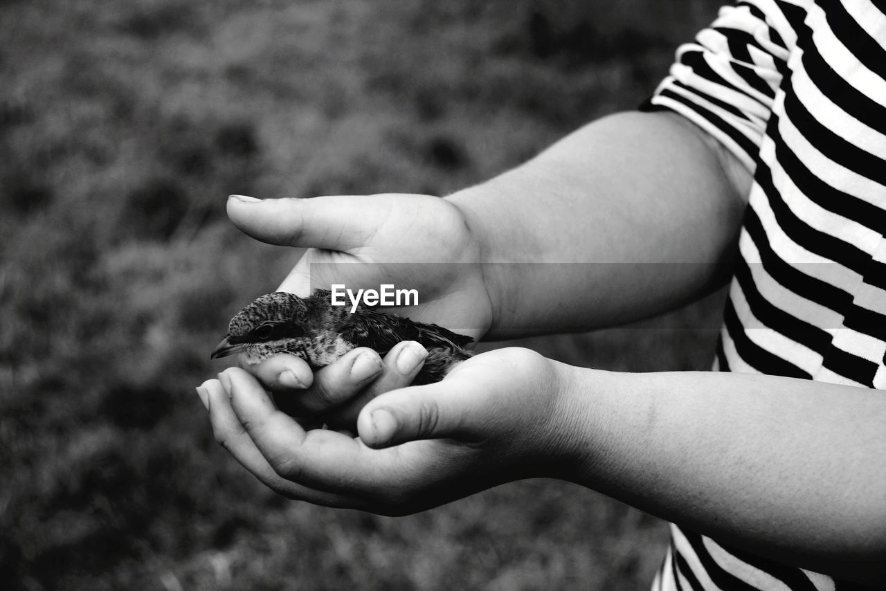 Midsection of child holding bird