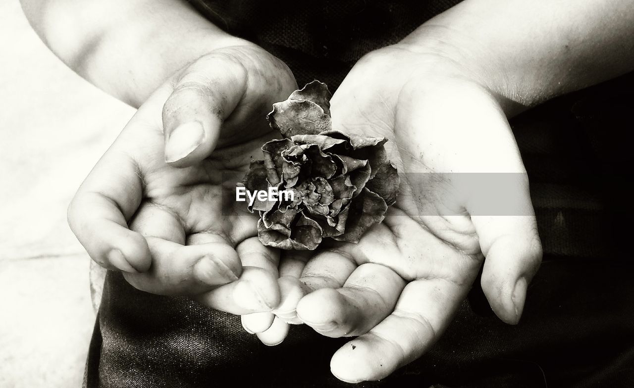 Close-up midsection of person holding flower