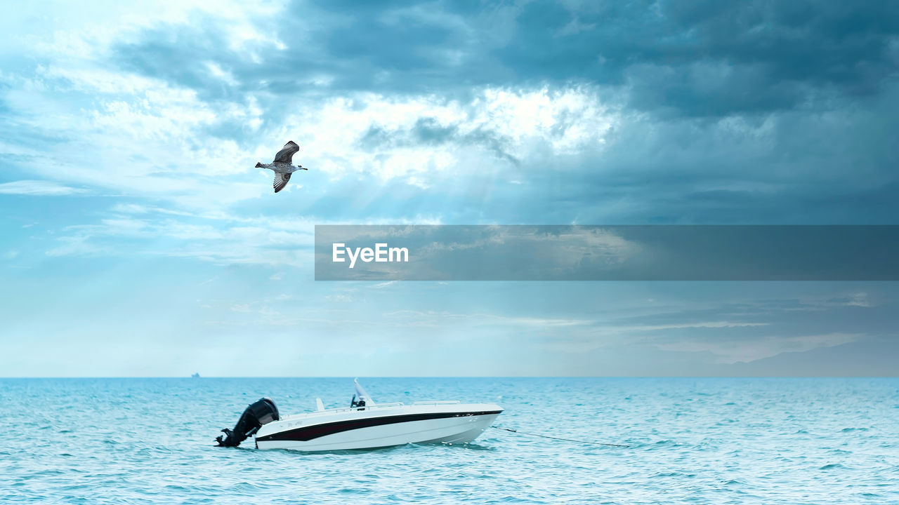 VIEW OF SEAGULL FLYING OVER SEA