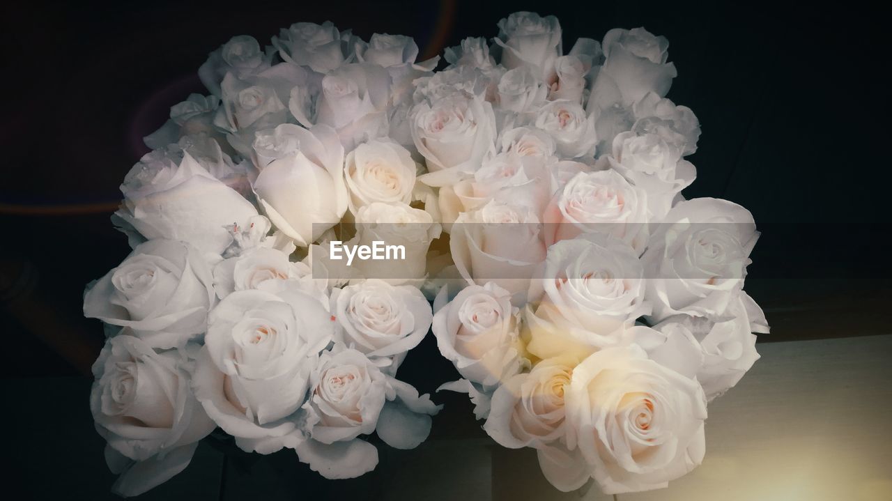 CLOSE-UP OF WHITE BOUQUET AGAINST BLACK BACKGROUND