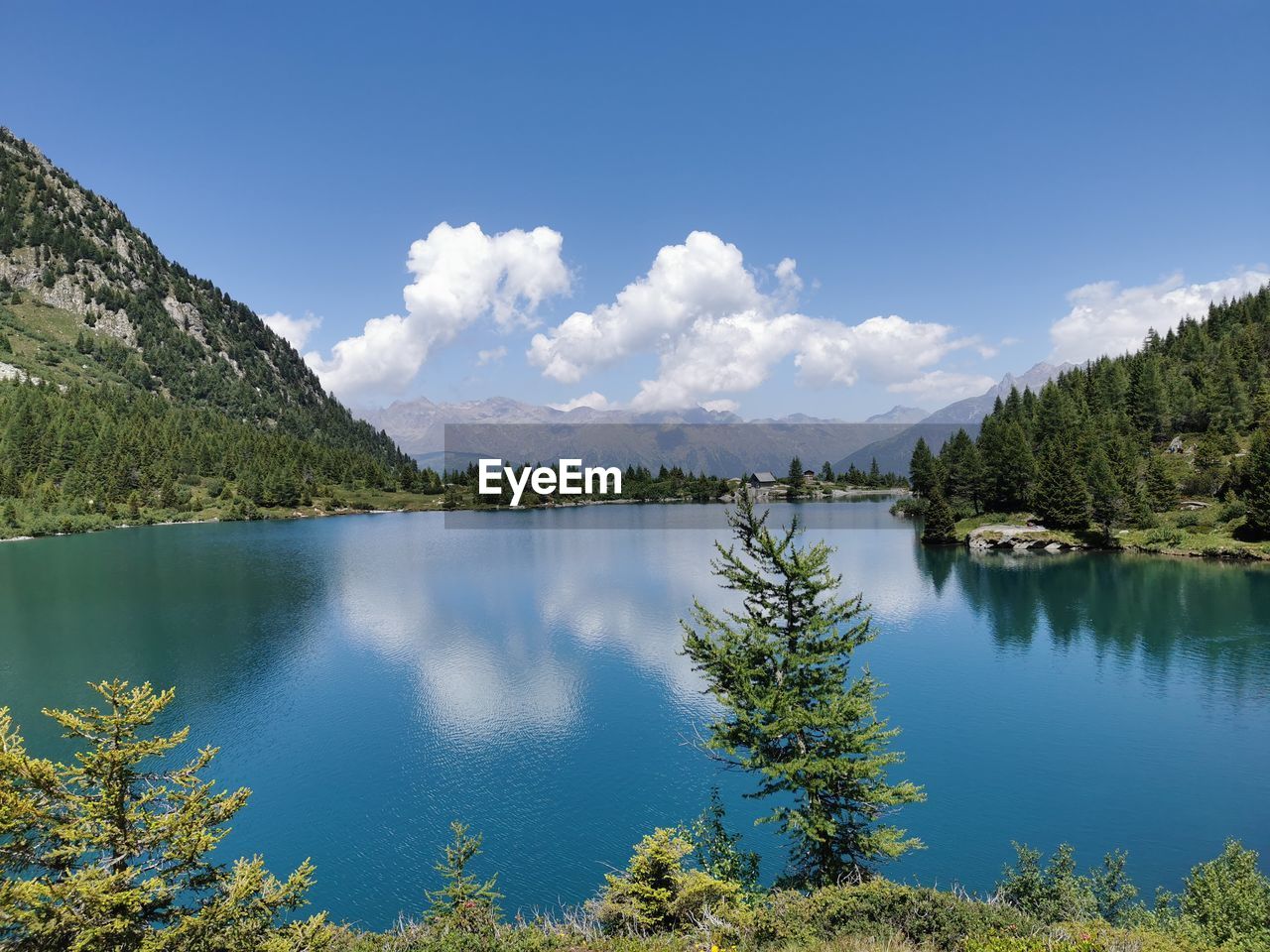 water, scenics - nature, mountain, tree, lake, beauty in nature, sky, plant, forest, tranquility, tranquil scene, pine tree, wilderness, environment, reflection, nature, body of water, coniferous tree, landscape, pinaceae, pine woodland, mountain range, land, reservoir, no people, blue, cloud, travel destinations, non-urban scene, travel, idyllic, day, tourism, crater lake, outdoors, woodland, meadow, summer, vacation, trip, green, holiday, activity, mountain peak, remote