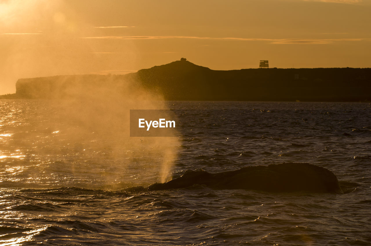 SCENIC VIEW OF SEA DURING SUNSET