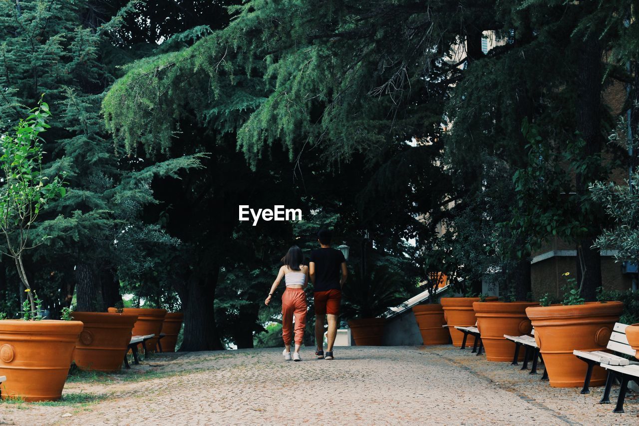 Rear view of couple walking at park