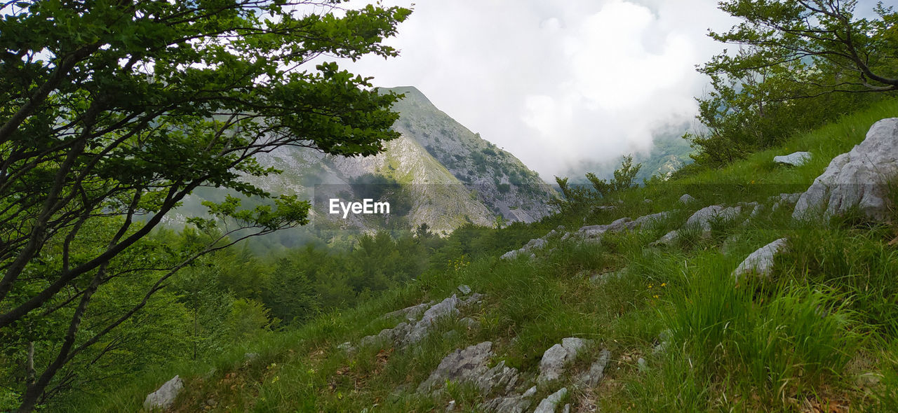 Panoramic viewpoint in the nature of the woods and mountains of the apuan alps in apennines