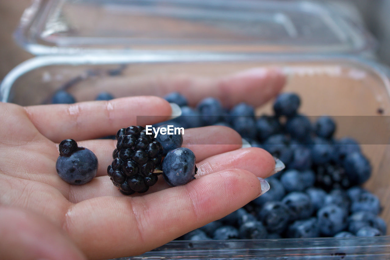 Close-up of hand holding berries