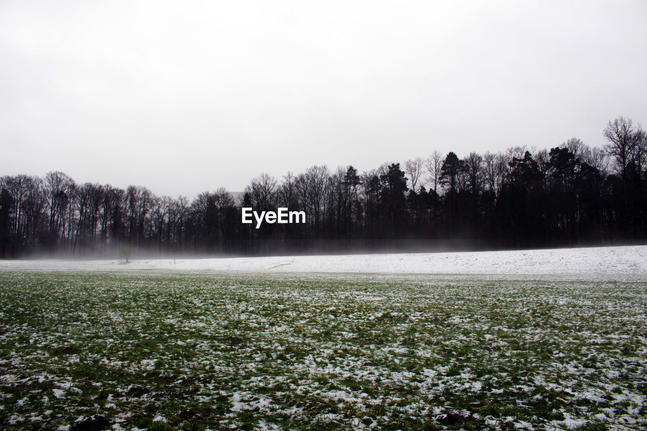 TREES ON FIELD AGAINST CLEAR SKY