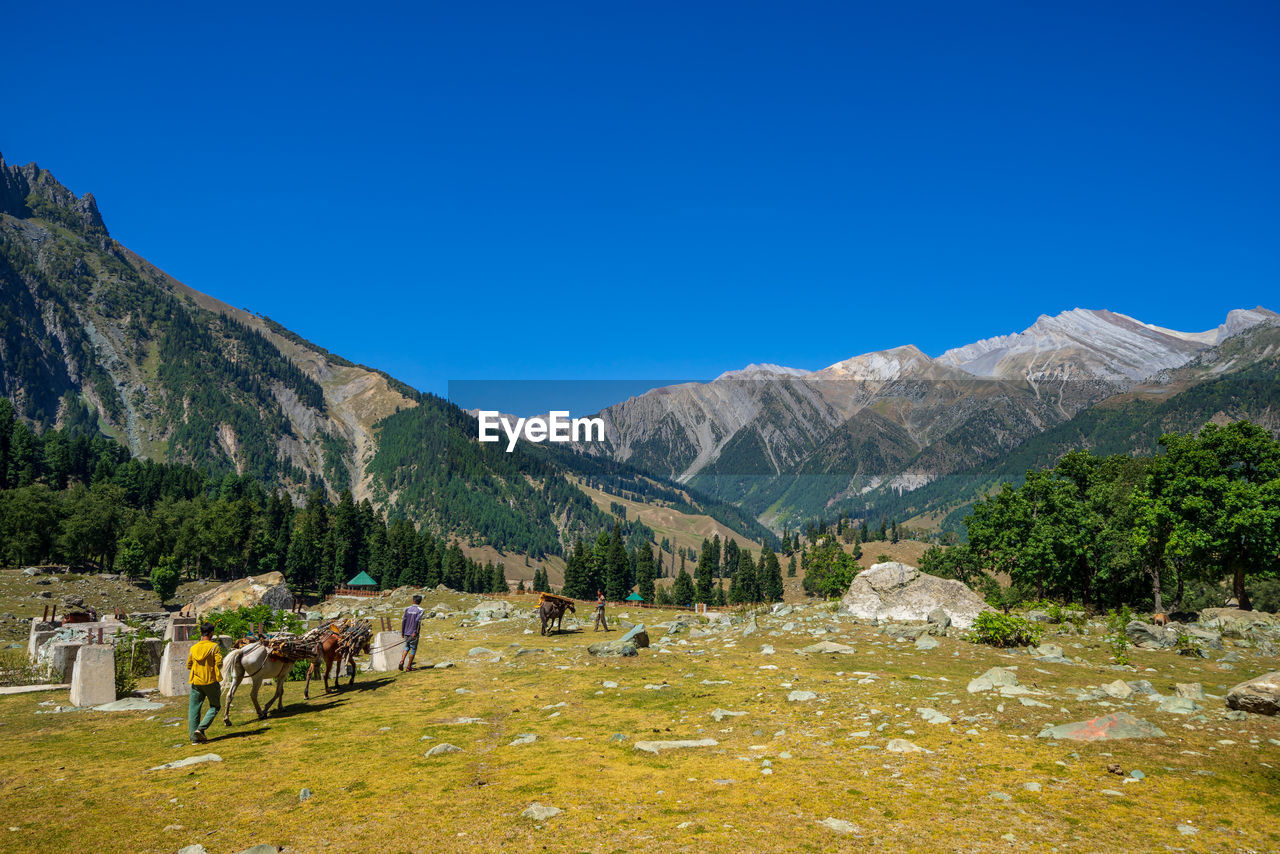 SCENIC VIEW OF MOUNTAINS AGAINST BLUE SKY