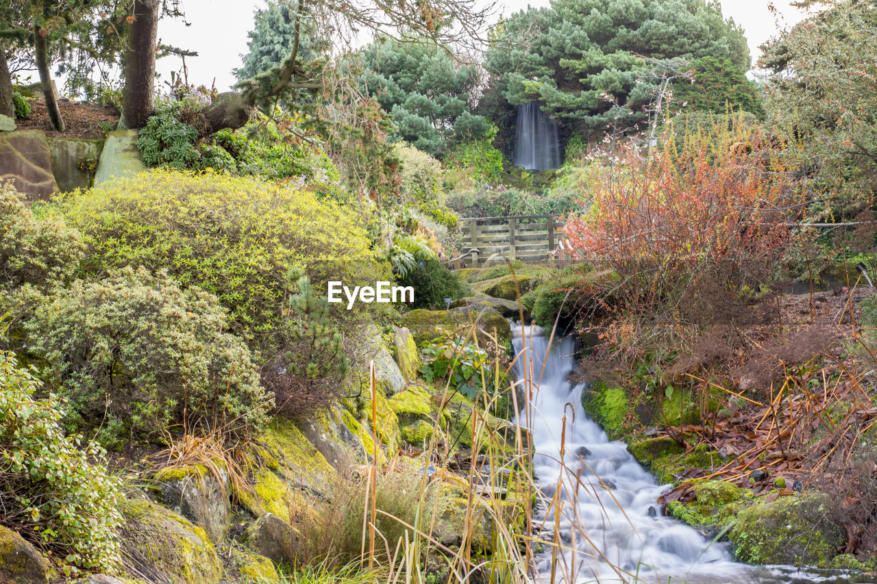 Scenic view of a waterfall in forest