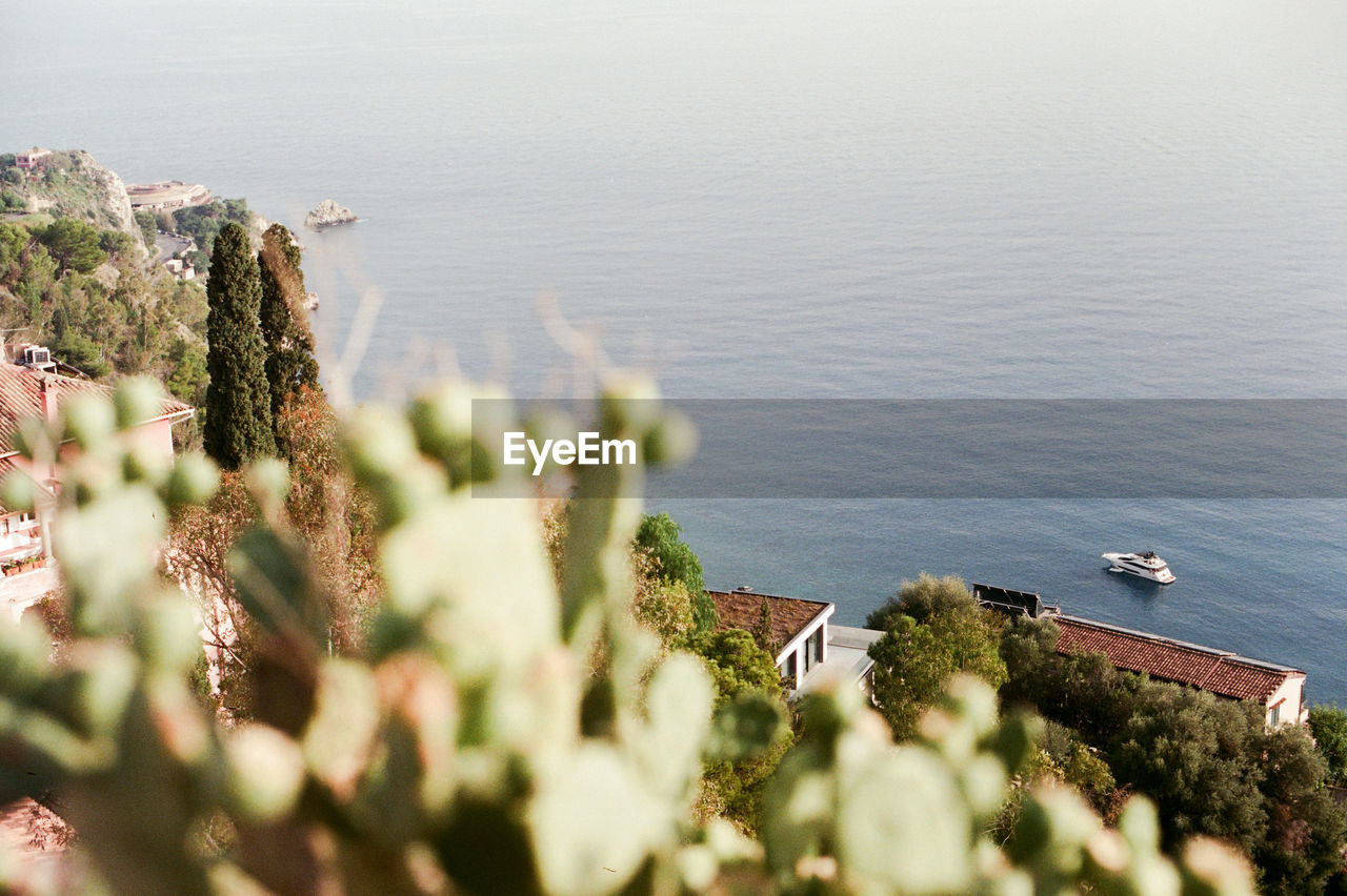 HIGH ANGLE VIEW OF PLANTS AND SEA