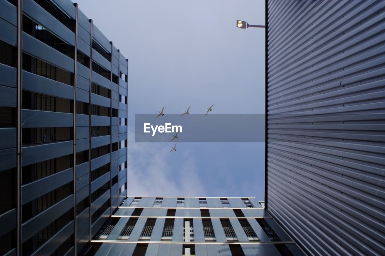 Low angle view of buildings and flying birds against sky