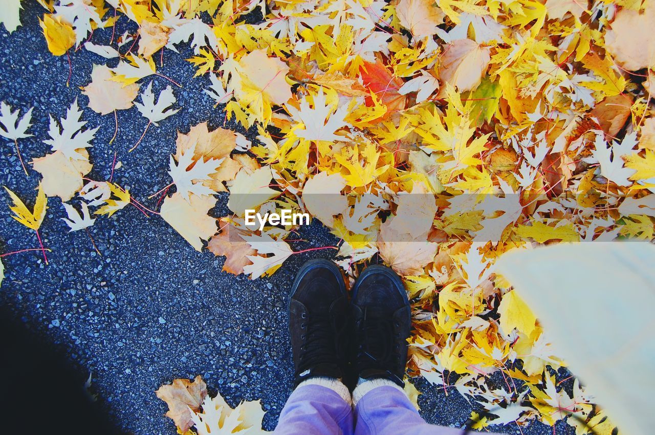 LOW SECTION OF WOMAN STANDING WITH AUTUMN LEAVES