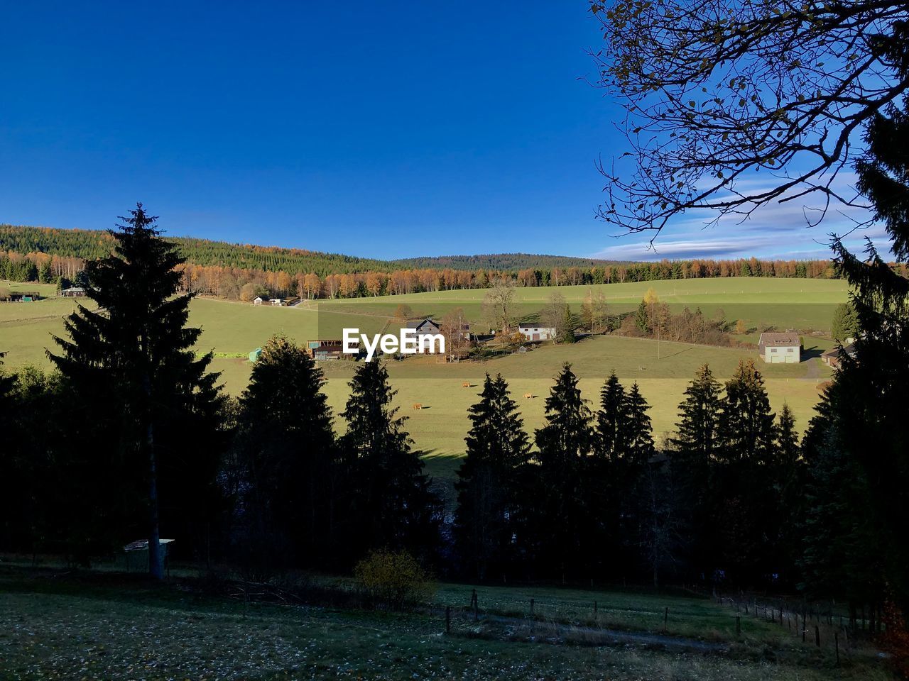 Scenic view of field against clear blue sky