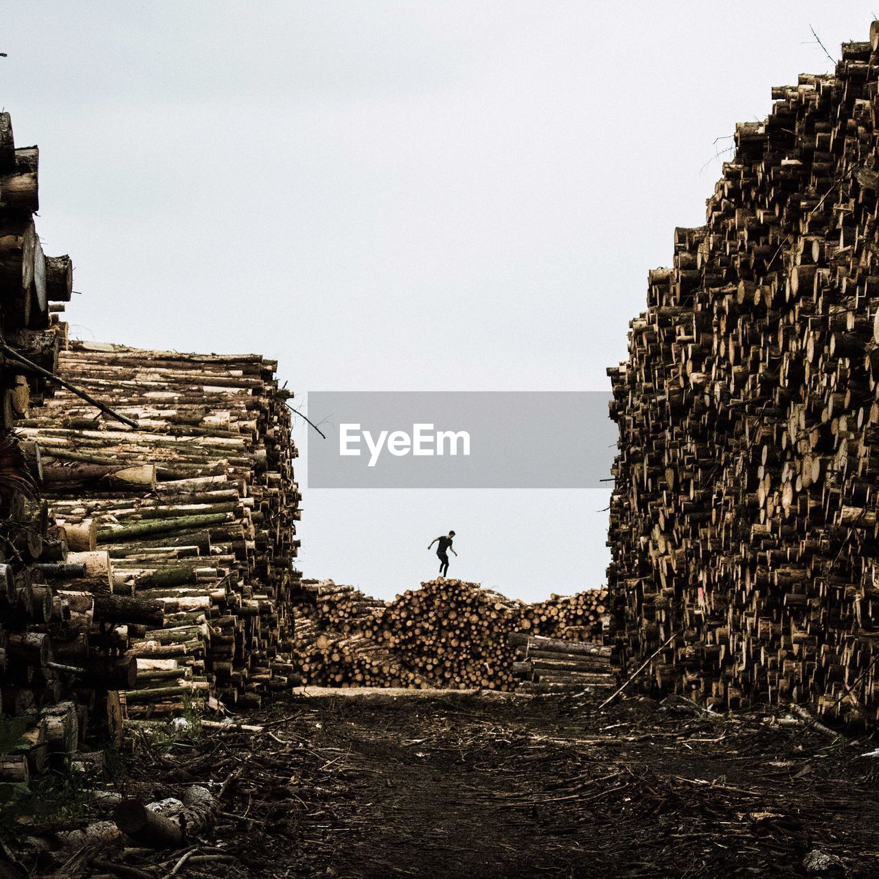 Man walking on logs against clear sky