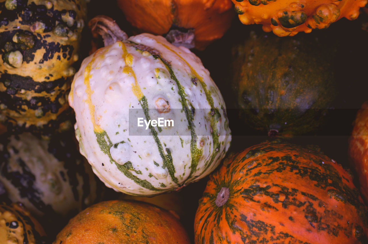 Close-up of pumpkins