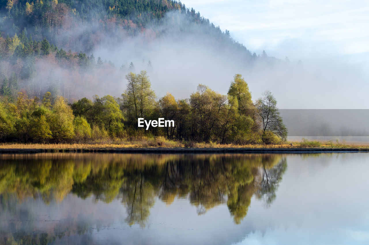 Reflection of trees in lake against sky