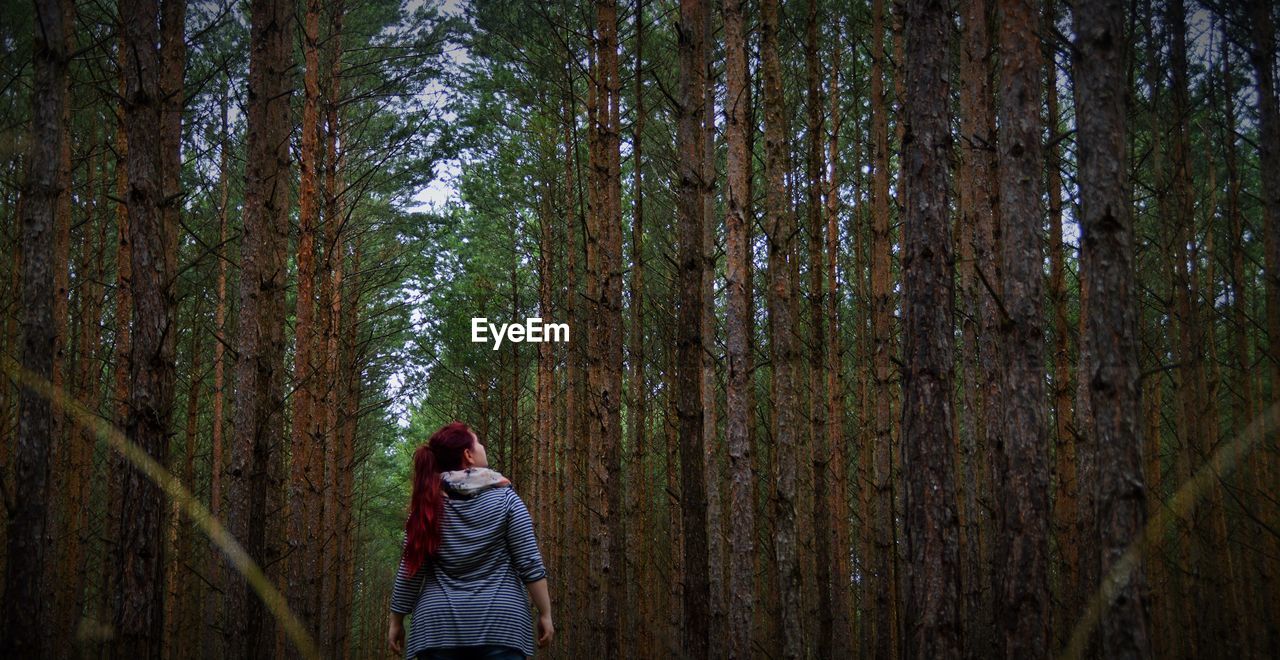 Rear view of woman standing amidst trees in forest