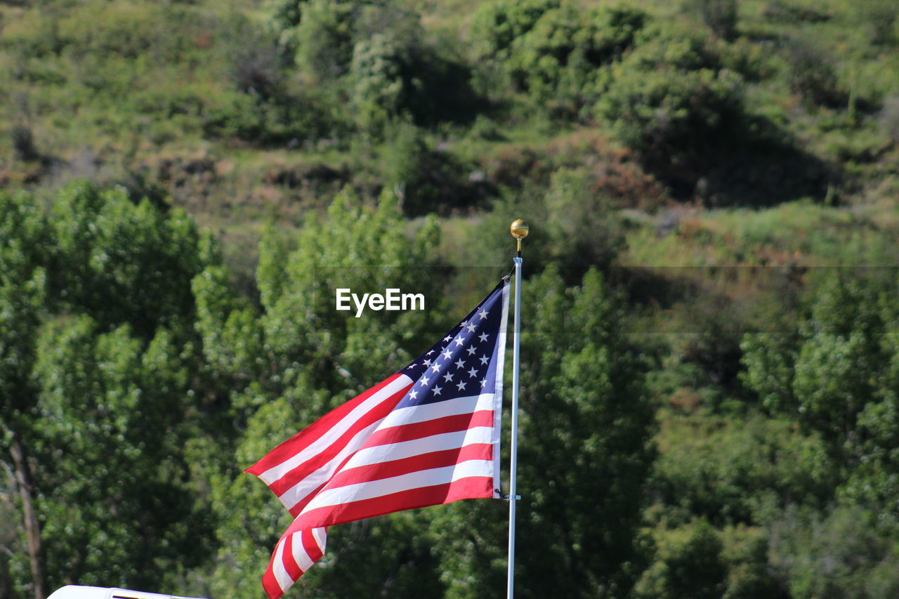 LOW ANGLE VIEW OF AMERICAN FLAG ON TREE