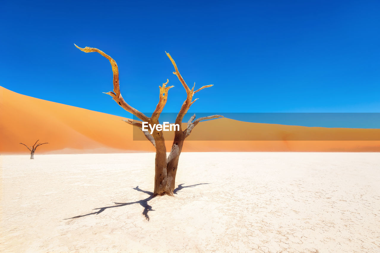 Dead vlei in naukluft national park, namibia, taken in january 2018