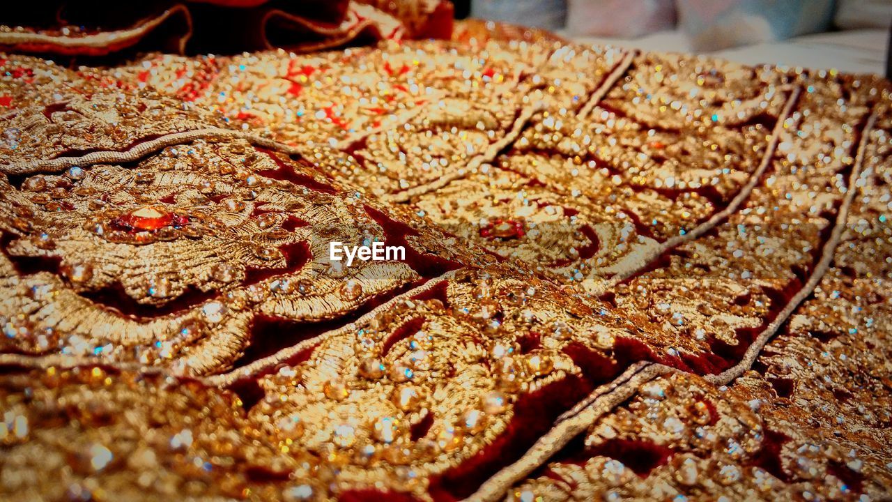 CLOSE UP OF LEAVES ON GROUND