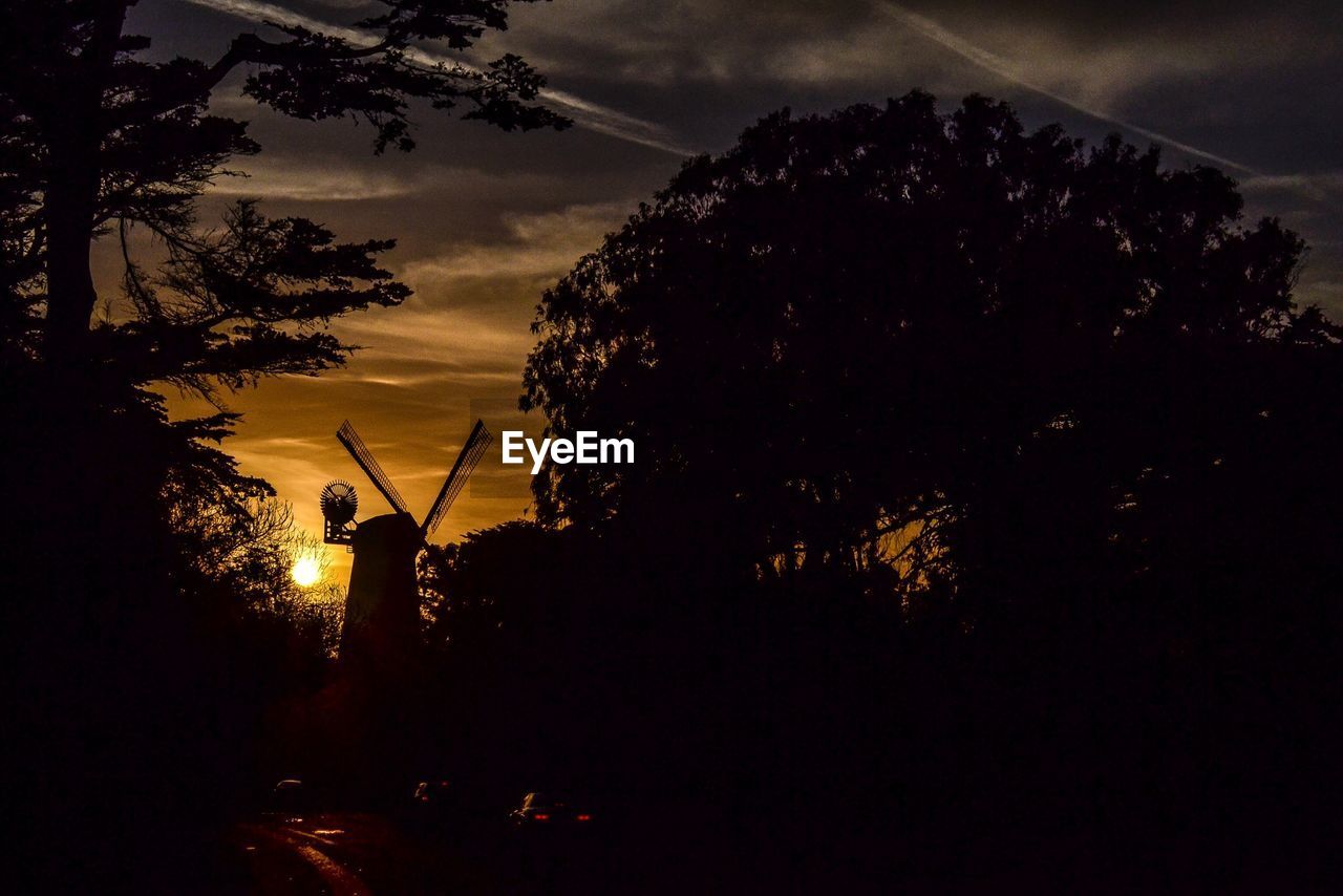 SILHOUETTE OF TREES AGAINST SKY AT SUNSET