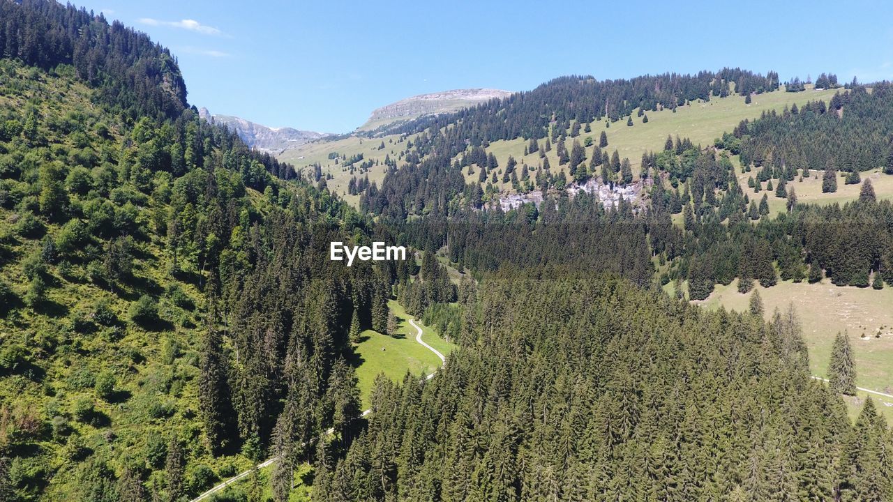 Panoramic view of trees and mountains against sky