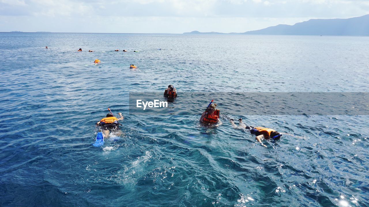 HIGH ANGLE VIEW OF DUCKS SWIMMING IN SEA