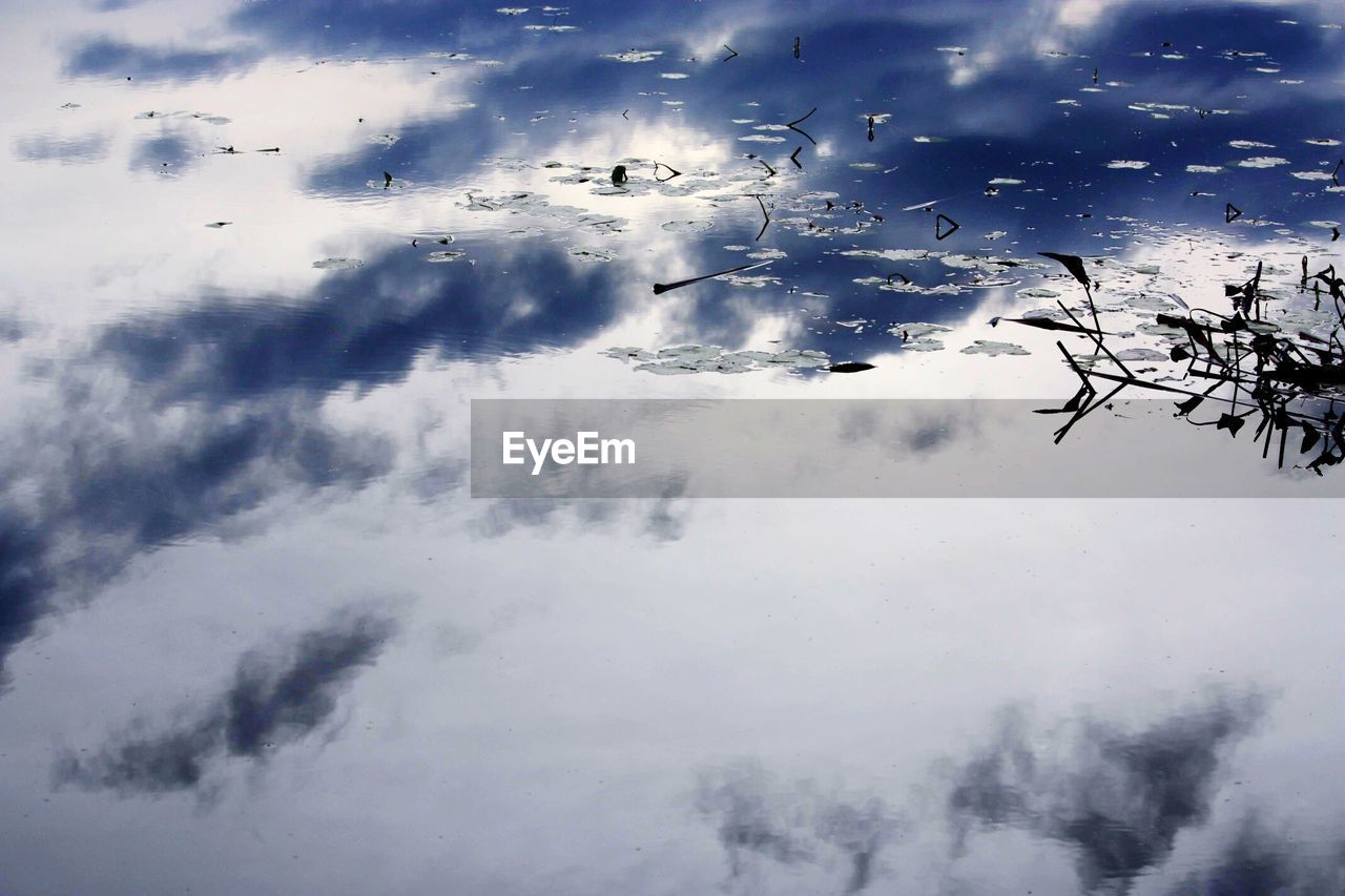 LOW ANGLE VIEW OF BIRDS FLYING AGAINST CLOUDS