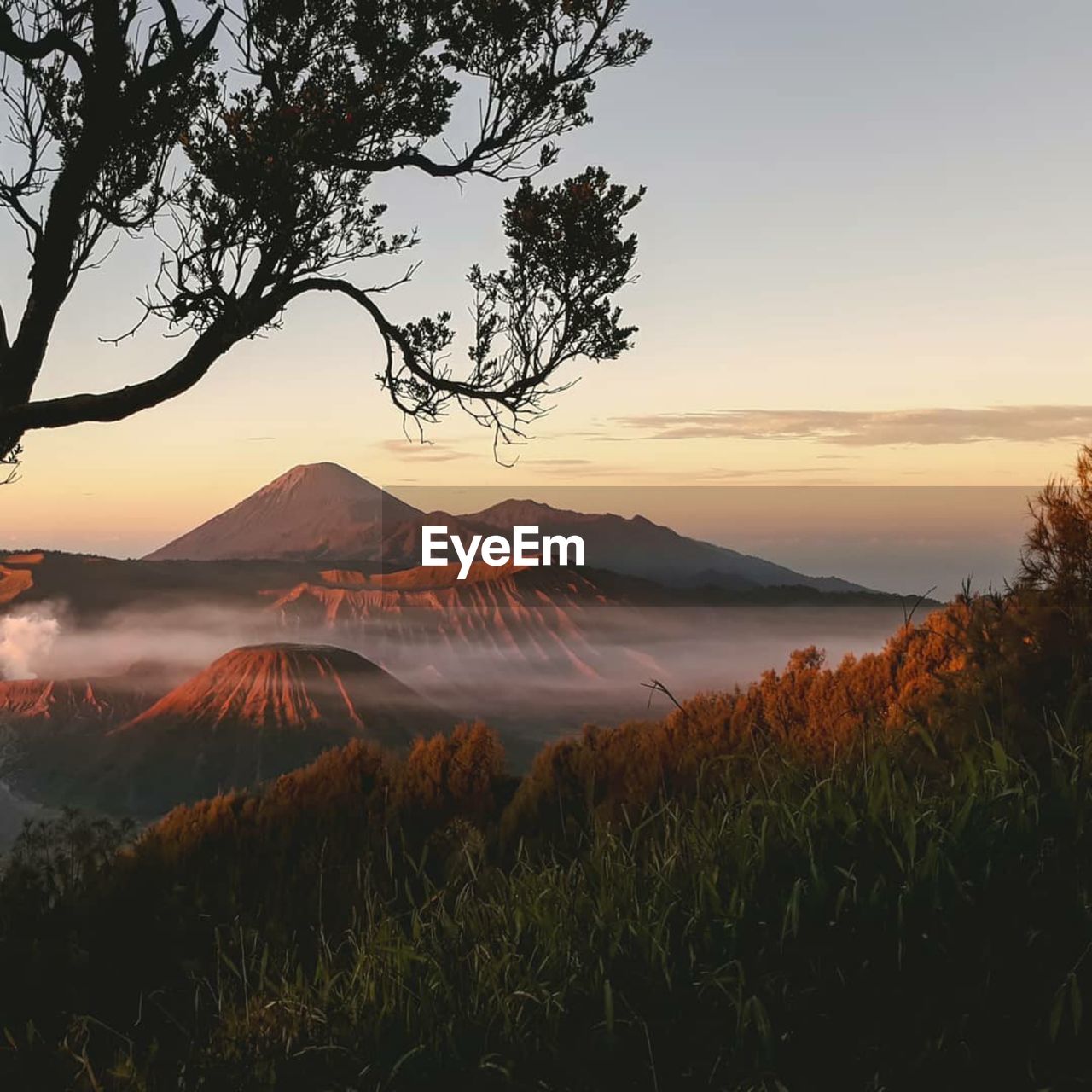 Scenic view of landscape against sky during sunset