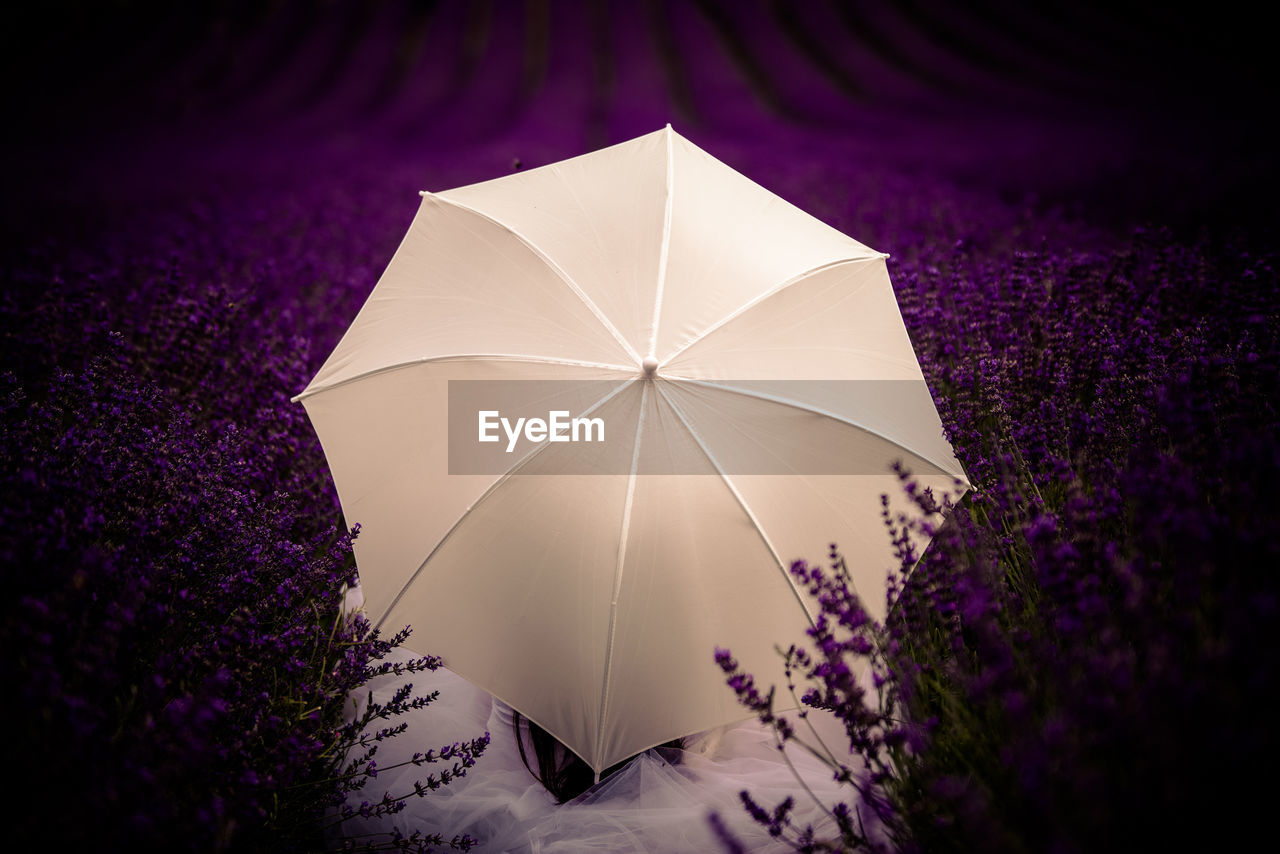 High angle view of woman with white umbrella on field