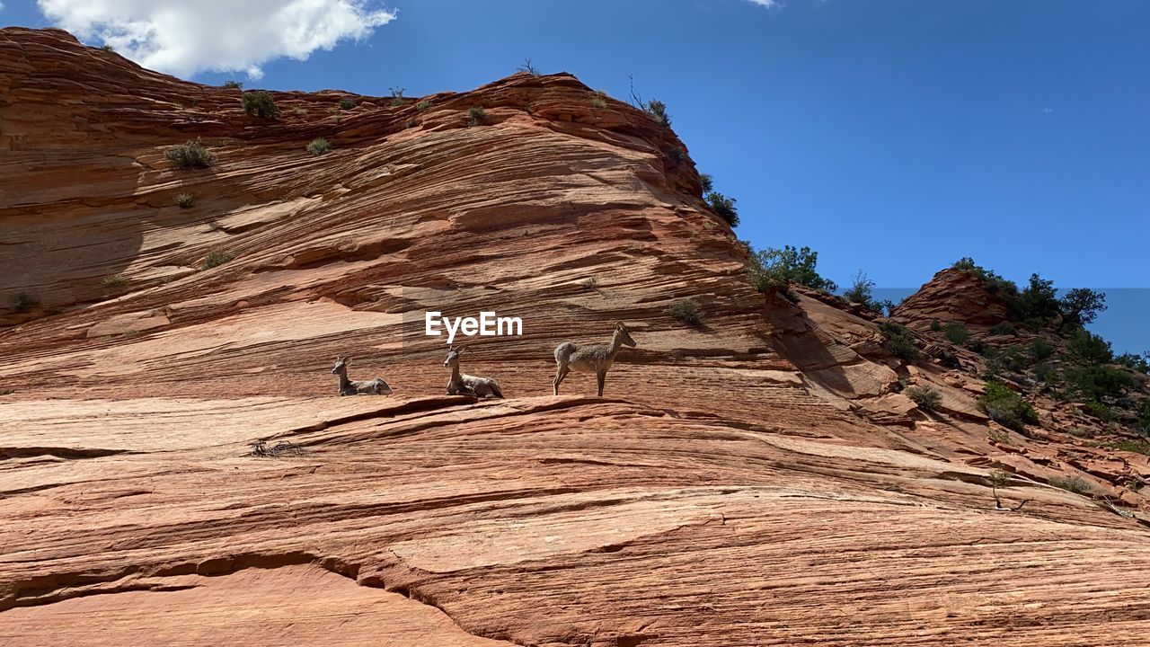 SCENIC VIEW OF ROCK FORMATION AGAINST SKY