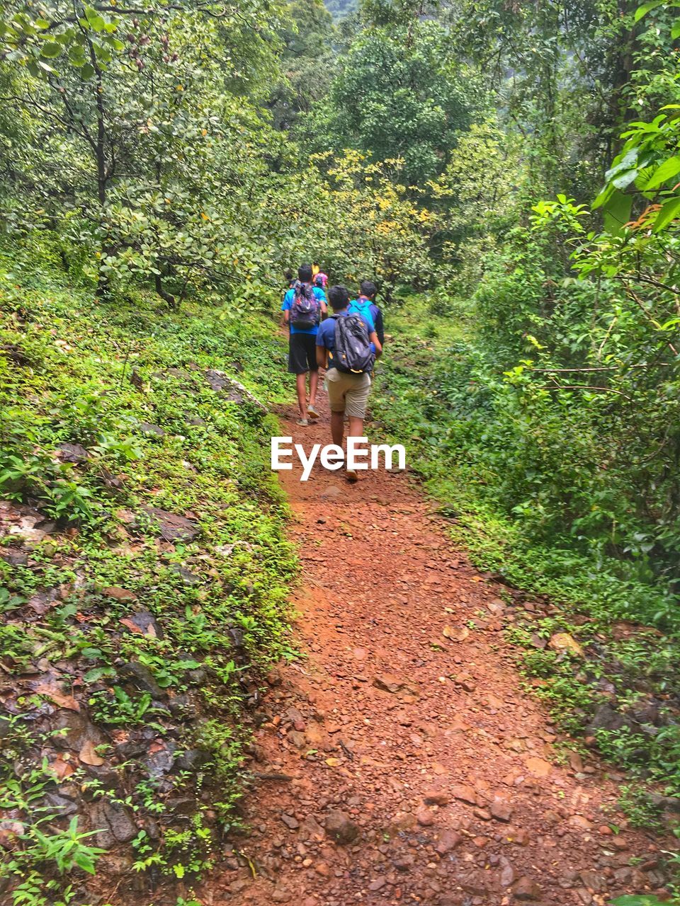 REAR VIEW OF COUPLE WALKING IN FOREST