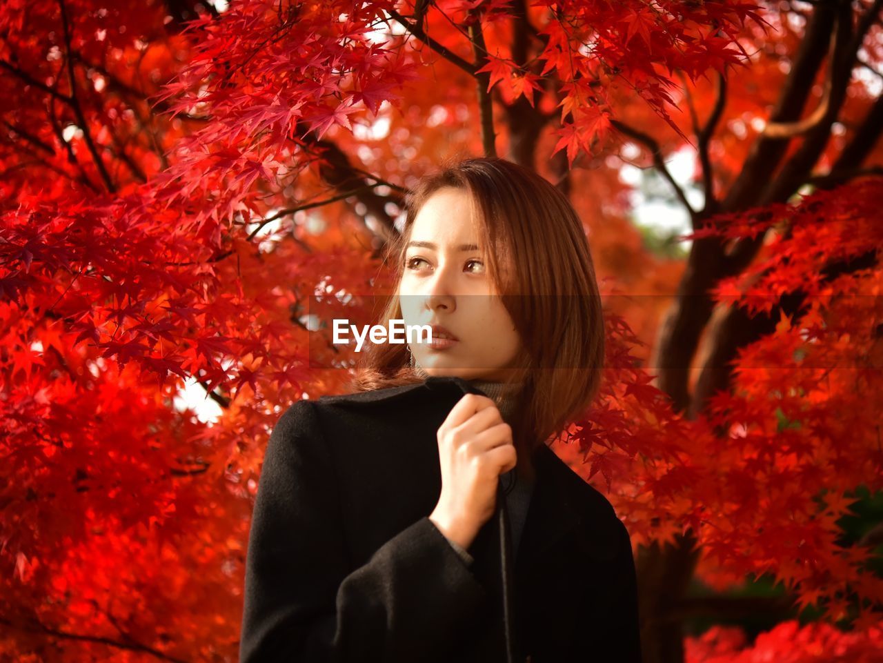 Portrait of beautiful young woman looking away during autumn