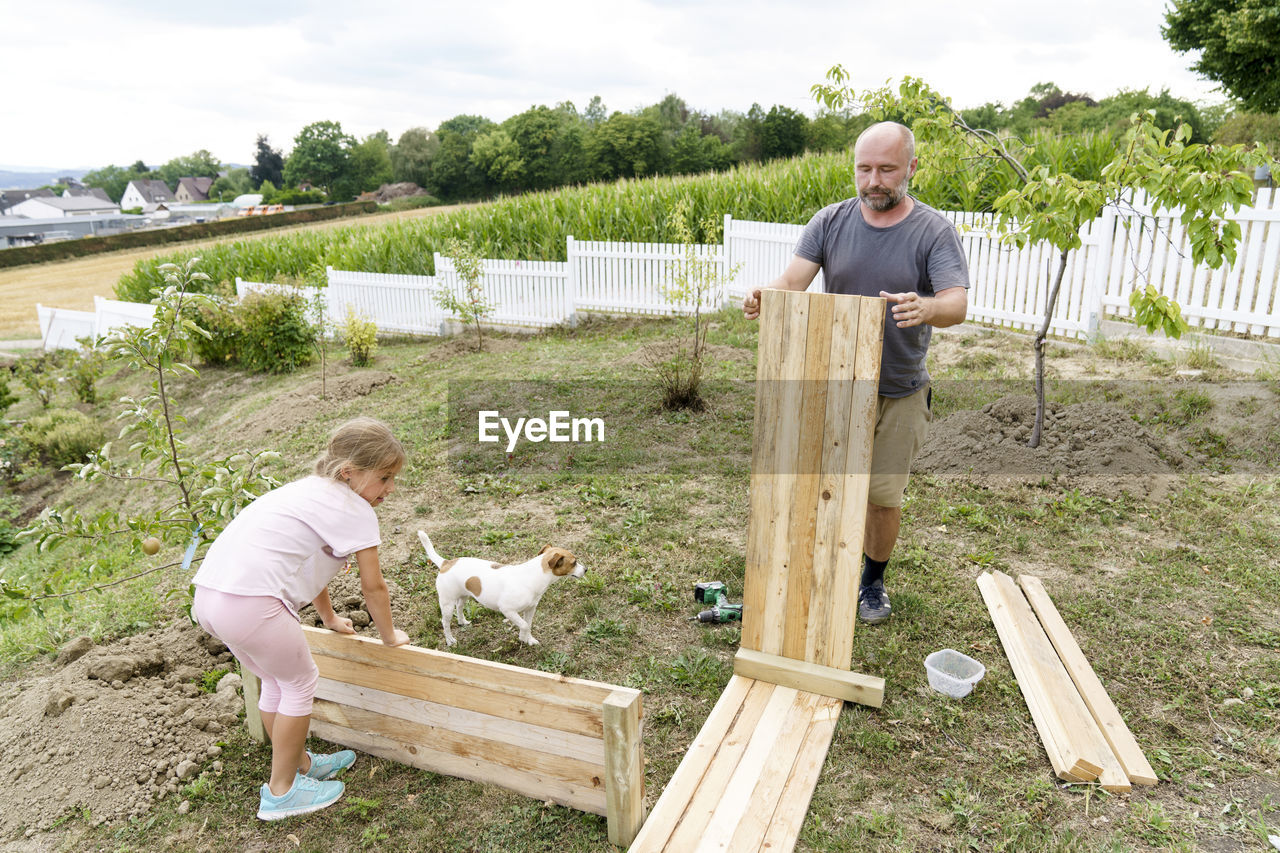 Father and daughter making raised bed with dog in back yard