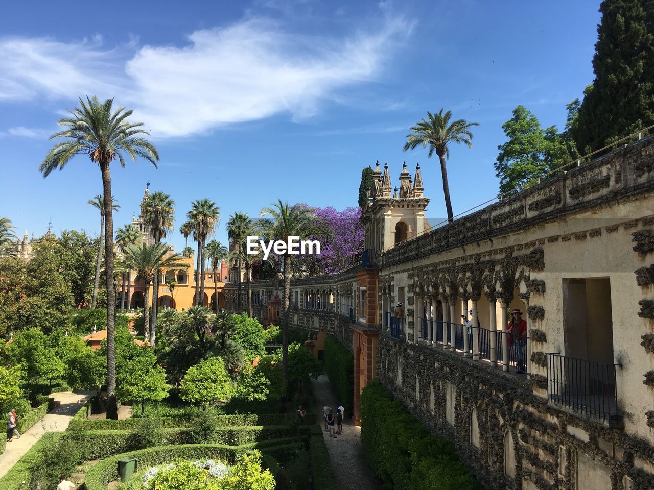 architecture, plant, built structure, tree, tropical climate, sky, palm tree, building exterior, nature, tourism, travel destinations, vacation, estate, building, travel, town, city, history, cloud, water, the past, outdoors, garden, no people, blue, flower, day, holiday, trip