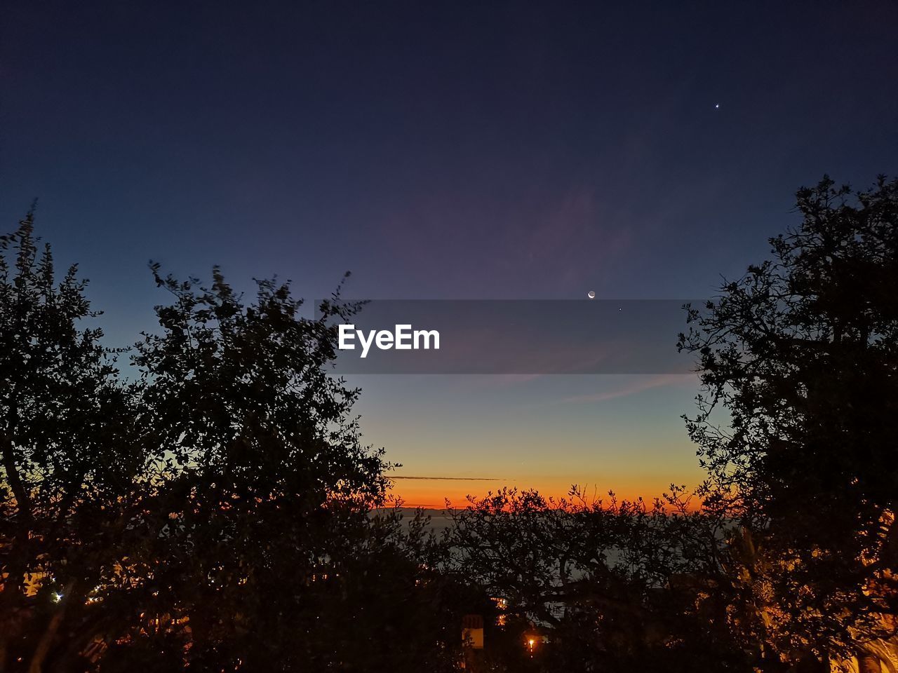 SILHOUETTE TREES AGAINST SKY AT SUNSET