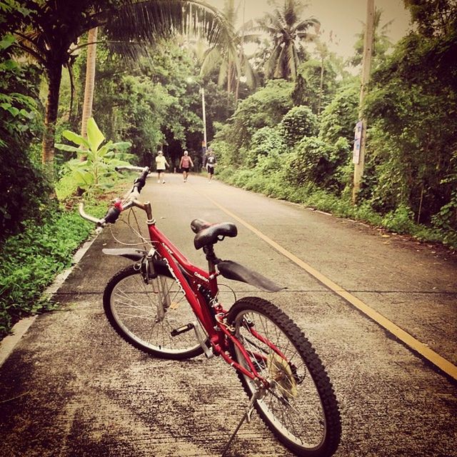 BICYCLES PARKED ON ROAD