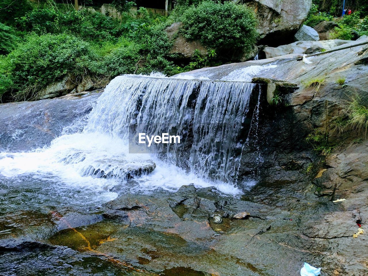 WATERFALL AMIDST TREES