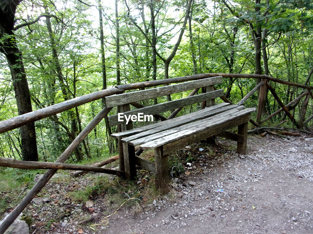 WOODEN BRIDGE IN FOREST