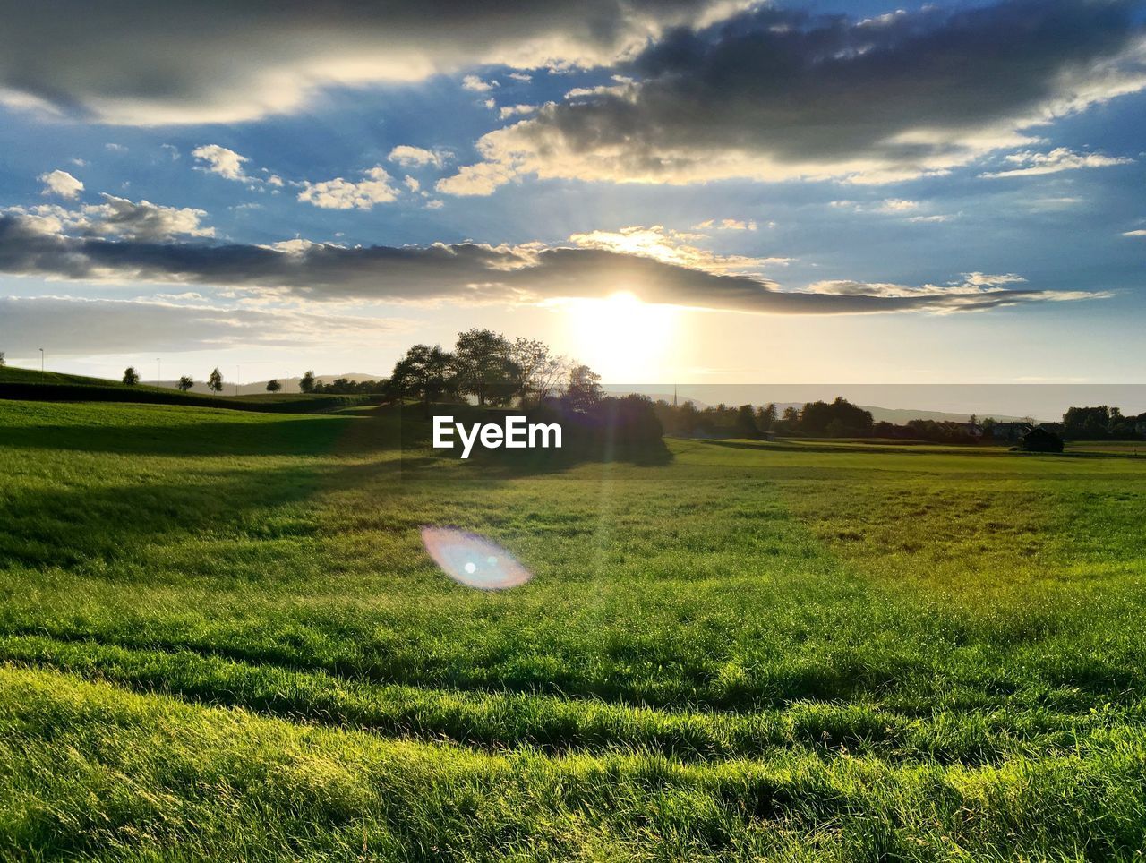 Scenic view of agricultural field against sky during sunset