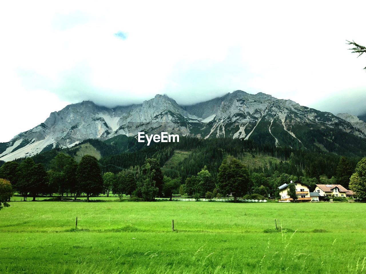 Scenic view of field and mountains against sky