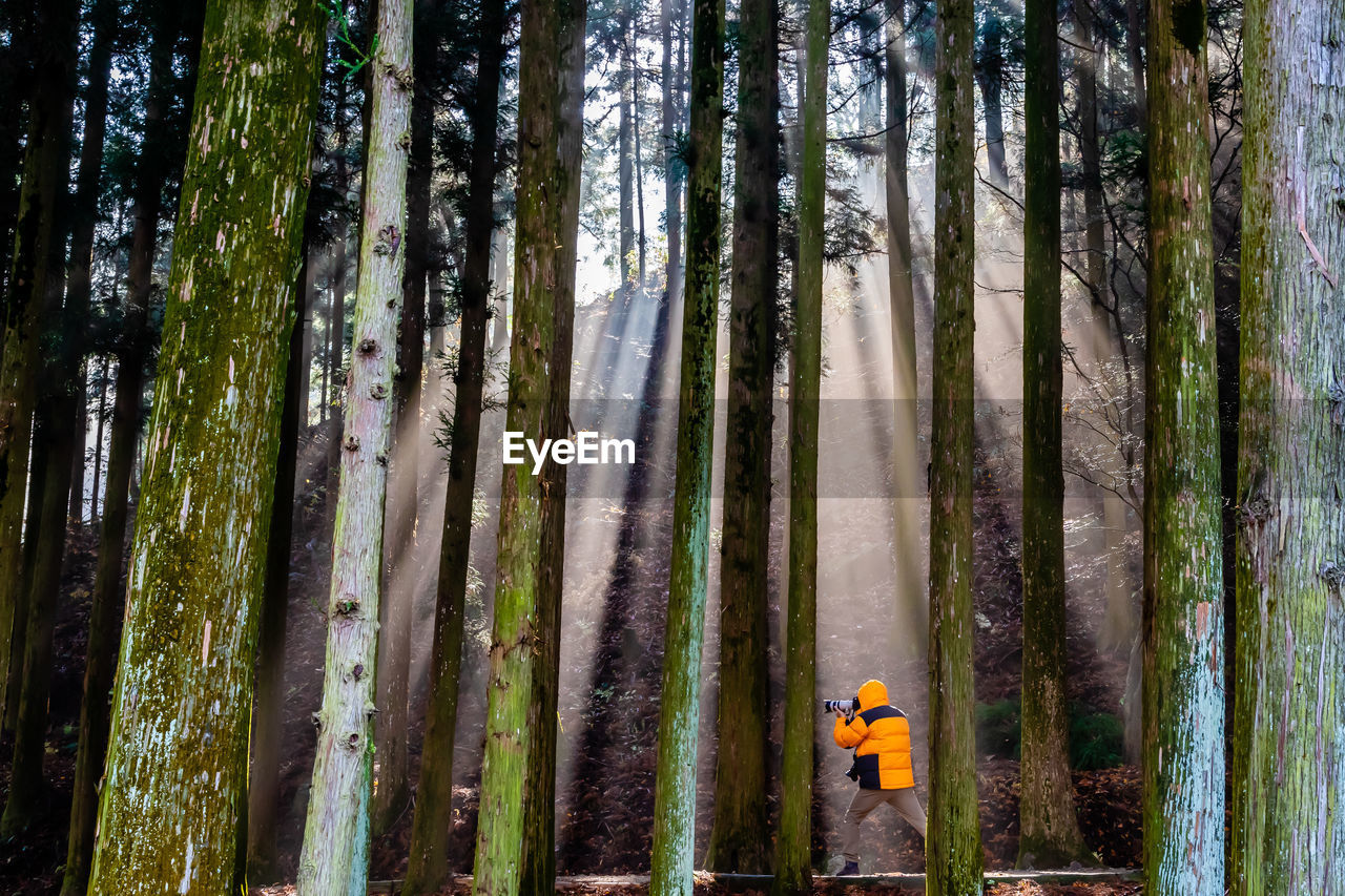 Man photographing in forest